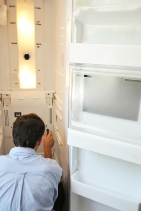 Essential Appliance - Fixing a Fridge